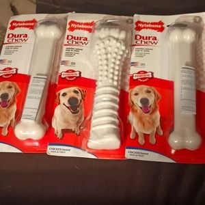 Dura Chew nylabones  set of 3 chicken flavored up to 50lb dogs